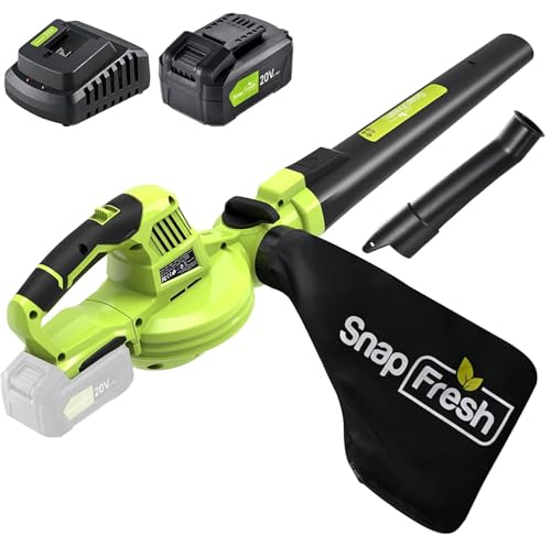 SnapFresh Cordless Blower & Sweeper – 2 in 1 Electric Blower with 4.0Ah Lithium Battery & 2h Fast Charger, 20V Handheld Sweeper with Bag for Small Trash, Car, Dust, Pet Hair, Corner Cleaning