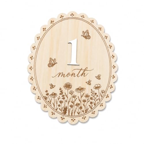 Baby Monthly Milestone Signs, Baby Monthly Milestone Girls, Wooden Double-Sided 1-12 Months Baby Signs with Changeable Numbers, Newborn Photography Props, Nursery Decor for Girls (QR7) by ALADAYQUINQUIT - Used condition - US$11.89