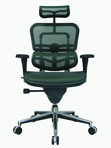 Image of Ergohuman Eurotech Seating High Back Mesh Managers Chair, Green