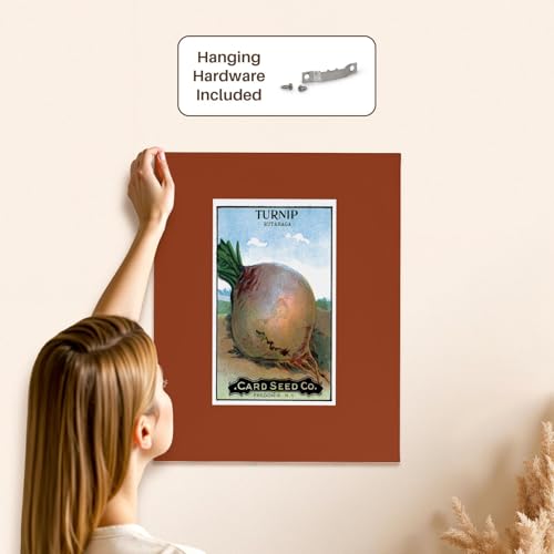 3dRose Turnip Rutabaga Root Vegetable Seed Packet Reproduction Museum Grade Canvas Wrap 16x20
