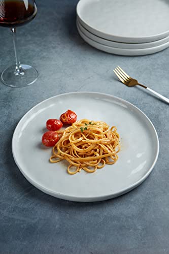 Famiware 6 Pieces Dinner Plates, 10.25 Inch Plate Set, Scratch Resistant, Stoneware Dinnerware, Kitchen Modern Rustic Serving Dishes, Light Gray #TOP2