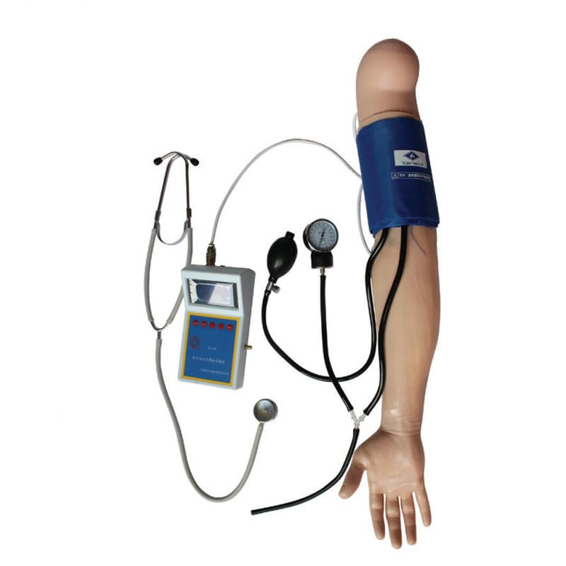 Medical Science Teaching Exercising Blood Pressure Skills Blood Pressure Training Arm Model
