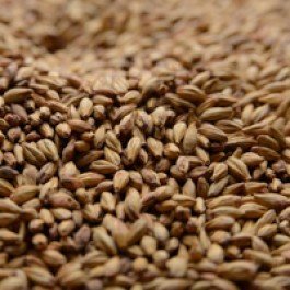 Briess Special Roast Uncrushed Malt - 1 lb. Bag by Strange Brew