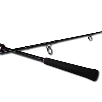 Amazon | オフショアジギングに フライデージギング ロッド (FJS