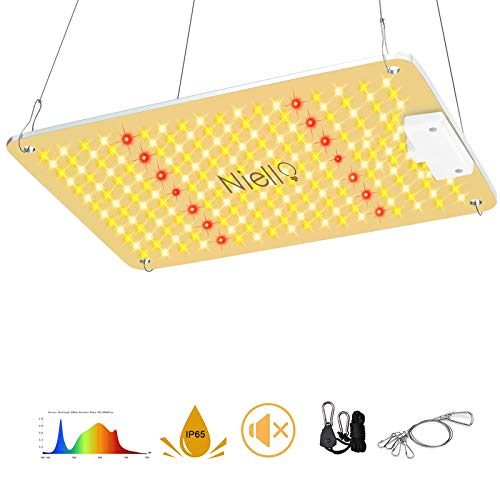 Iluminación para invernaderos | Amazon.es