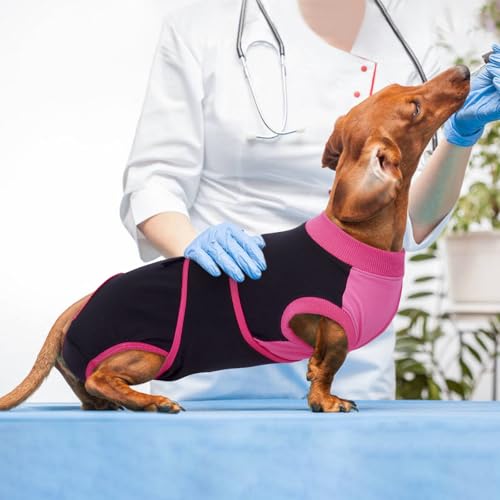 Image of Kuoser Recovery Suit for Dogs After Surgery, Soft Dog Surgery Suit Female Male, Breathable Pet Surgical Recovery Shirt, Anti Licking Dog Onesie for Abdominal Wounds Cone Alternatives, Black XS