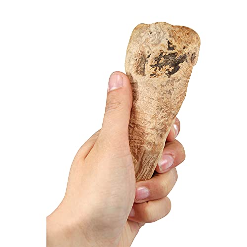 Schecker Kauwurzeln XS - das Kauspielzeug für den Hund - ohne Kalorien - hypoallergen - 1 Stück XS 60-125g
