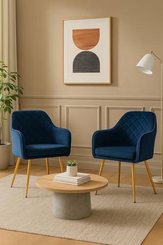 Image of Barfi Velvet Dining Chair | Set of 2 Premium Modern Upholstered Accent Chair with Armrest, Padded Seat and Metal Legs | Comfy Chair for Home, Office & Restaurents | (Blue)