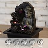 Zen Light B01M1S6HYW lato 3