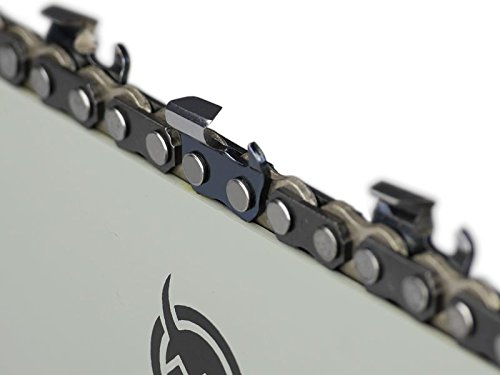 Sägenspezi - Guía de 30 cm, 1/4", 65 eslabones 1,3 mm y 2 cadenas semicuadradas para Echo CS 2511 TES