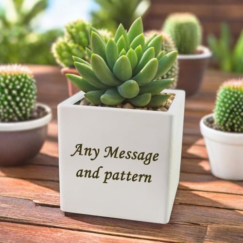 Personalized Succulent Pot with Engraved Message