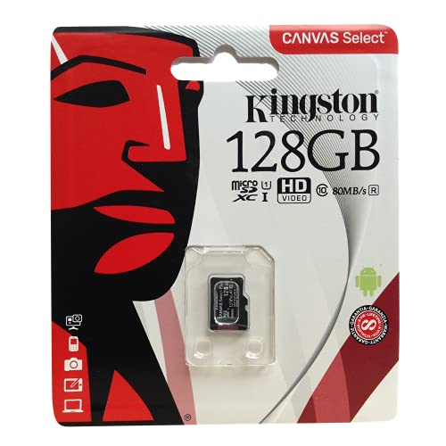 Interfaccia hardware: MicroSDHC