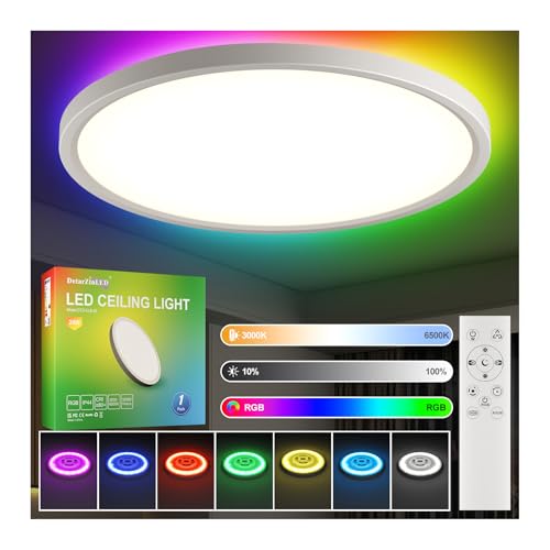 DetarZinLED LED plafondlamp dimbaar met afstandsbediening 24W RGB kleurveranderende platte ronde plafondverlichting voor woonkamer slaapkamer plafondlamp 3000K-6500K 2700LM IP44 waterdicht Ø30cm