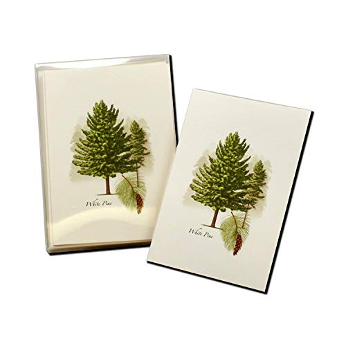 Image of Earth Sky + Water - White Pine Notecard Set - 8 Blank Cards with Envelopes