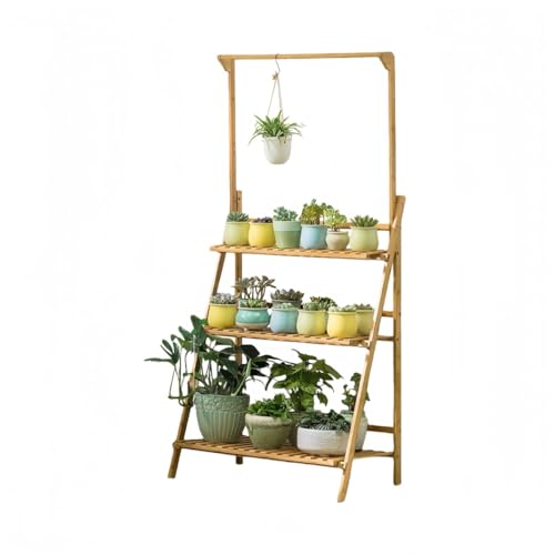 KUBERASԉIVR|艺AؔI|IAX^hˊO (70cm,񂵂傭F)