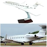 1:100 Scale Gulfstream G650/G650ER Simulation Jet Model Aircraft, 12.2 Inch Resin Diecast Airplane Model, Premium Collectible Plane for Adult Aviation Enthusiasts