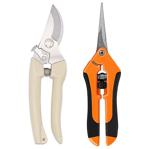 Gardening Scissor 2 Set with Sharp Stainless Steel Blade Garden Shears for Cutting Flowers Trimming Plants of Yard Florist Flower Rose Herb Hedge Bonsai and Fruits Picking