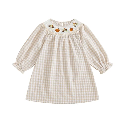 Toddler Baby Girl Thanksgiving Dress Plaid Turkey Embroidery Long Sleeve Smocked Dress Fall Photoshoot Clothes