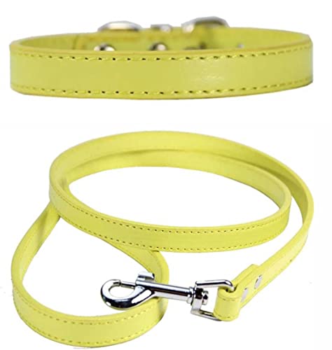 Vibrant Leather Dog Collar & Lead Combo Set for Puppy Dogs Small, Medium & Large (Large (36cm - 46cm Neck), Yellow) - Image 2