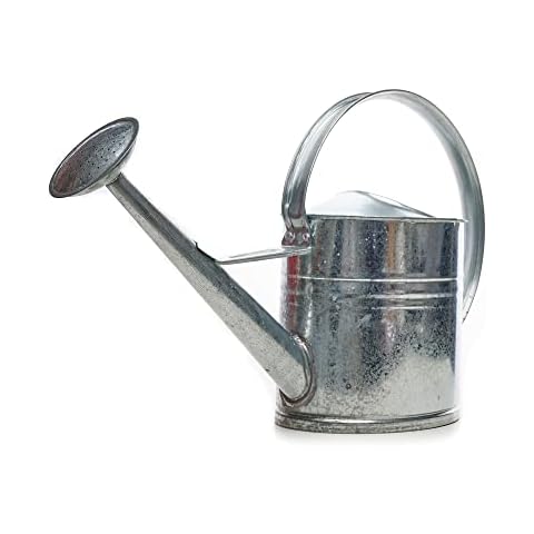 Gießkanne verzinkt 10 Liter Metallgießkanne Zink Gießkanne Blumengießkanne Gartengießkanne Cover