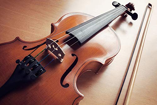 Fansjoy VIOLIN STRING S Full Set (G-D-A-E), Universal Violin Strings thumb #4