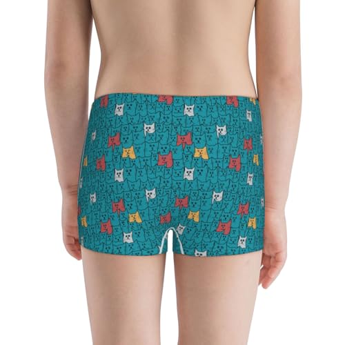Boys' Cotton Boxer Brief Soft Underwear-Funny Cat Blue3