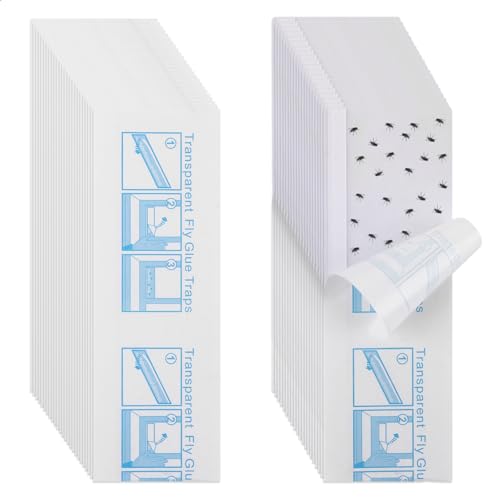 CYEER 150 trampas para moscas de la ventana, trampas para moscas de la fruta para interiores, tiras de papel adhesivo para moscas, trampas para moscas para interiores, atrapa insectos, transparentes
