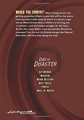 Backfire (Day of Disaster) - Image 2