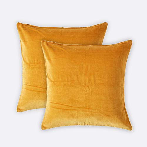 HOMESCAPES Set of 2 Mustard Velvet Cushion Covers Super Soft Cotton Velvet Luxury Square Scatter Cushions Dark Yellow Plain Accent Pair of Throw Pillows for Sofa and Bed Decoration, 40 x 40cm