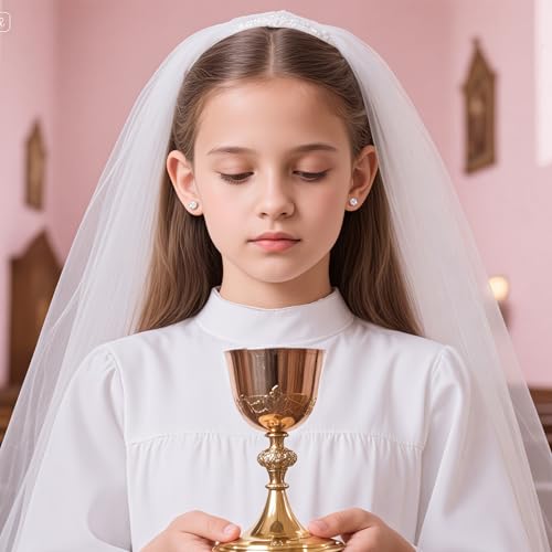 Limerencia G23 Titanium Earrings White Cubic Zirconia Post Studs 20G Implant Grade Pure Titanium Piercing Studs First Holy Communion Gifts for Girls Sensitive Ears2