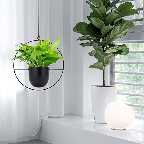 NCGL Suspension pour Plantes en Acrylique