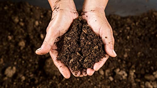 Image of DIVINE TREE Supergrow Cow Dung Soil Manure for Plants | Organic Cow Dung Cake Fertilizer for Outdoor & Indoor Plants | Best for Plant Growth, Improves Soil Structure & Root System (5kg)