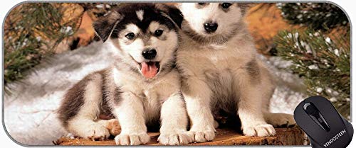 Lange XXL Mousepad, Tierhundkatze Süße Hund rutschfeste Gummi Mousepad