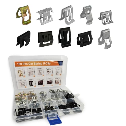 QZTYTY 100PCS 10 Sizes Auto Car U-Clip Metal Trim Panel Spring Clip Trim Moulding Clip Kit, Auto Clips and Fasteners, Auto U-Clip Body Fastener Clip Compatible with Audi, Replaces OEM 4A0-867-276A
