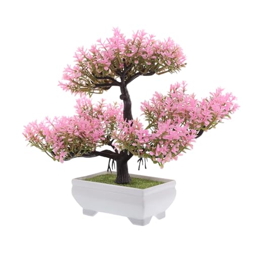 PAMINGONO �l�H�~�� ���̖� �f�X�N�g�b�v���� ���� �v���X�`�b�N���A�� �C���e���A�p���^���A�� �������r���O���[�����֗p���R������