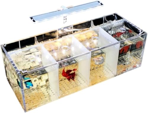 Conutoo ANfށA~jfXNgbvx^ZbgAEH[^[|vLEDCgAȏzԃ^NAaC̋̊ut (4Obh)