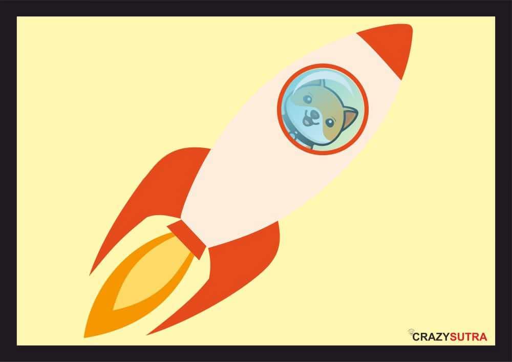 Crazy Sutra Wear Your Crypto Baby Doge Special UnFramed Glossy Paper Poster (Pack of 1)