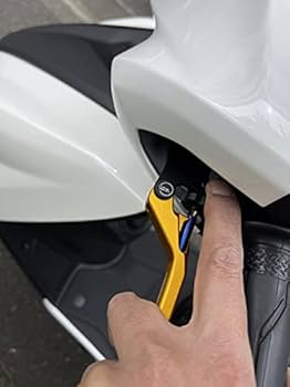 Amazon.co.jp: KN企画 シグナスCYGNUS SYGNUS GRYPHUS