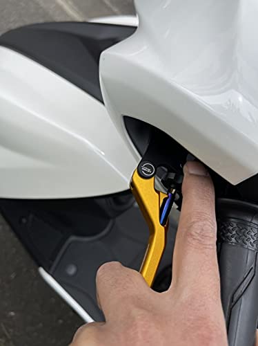 Amazon.co.jp: KN企画 シグナスCYGNUS SYGNUS GRYPHUS