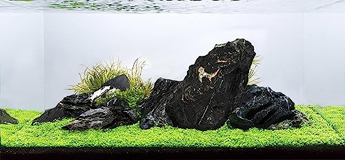 Image of LANDEN Dark SEIRYU Stones Natural Rocks(17lbs, 3~11 inches,7-8pcs) for Aquarium, Paludarium, Terrariums, Landscaping Rocks, Decorative Aquarium Rocks