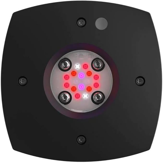 AI Prime Fuge Led Light