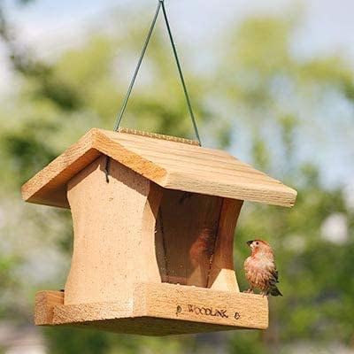 Woodlink 29004 Hopper DIY Craft Kit Bird Feeder, Brown