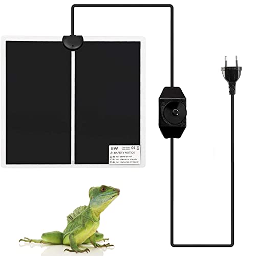 Die 7 besten Heizmatten fürs Terrarium – Ratgeber