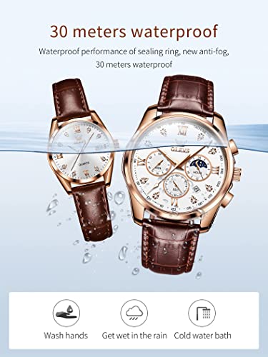 OUPINKE Men's Automatic Mechanical Watches Luxury Business Dress Self Winding Tourbillon Multifunction Calendar Date Luminous Waterproof Luxury Dress Wrist Watches