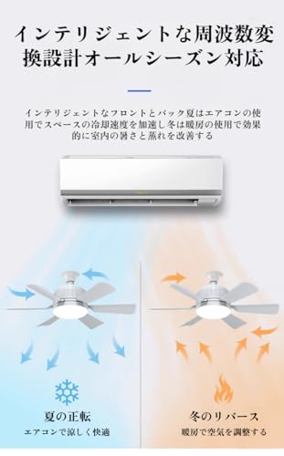 Vailaipupy シーリングファン の商品画像 3