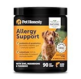 Pet Honesty Dog...image