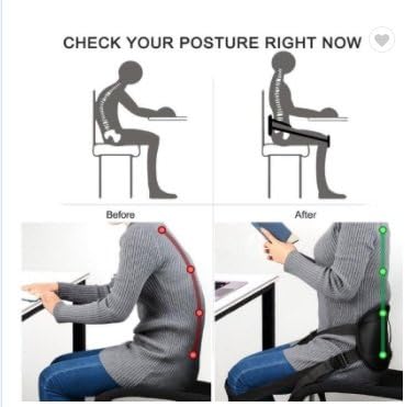 Lower Back Support Posture Belt | Improves Posture & Eases Lower Back Pain While You Sit (Use for Just 15 Mins A Day) |for Men & Women|Doctor Recommended