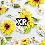 Sunflower Floral