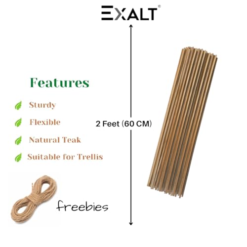 Image of EXALT Premium Natural Teak Wood Plant Support Sticks - Garden Sticks for Straightening Training and Supporting Plants - Strong and Durable Solution for Healthy Growth