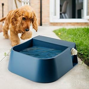 Automatic Dog Water Bowl